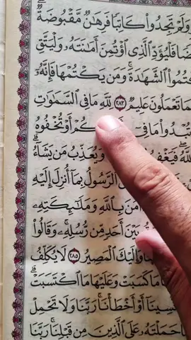 Recitation Of Quran Surah Al-Baqarah 📖 🎧 ♥️  #🤍 #quran #fyp #fypシ #foryoupage 