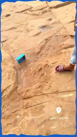 من تغازوت .. شباب يكتشفون آثار الدينصورات بصخور شاطئ 