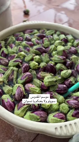 #اسبانيا🇪🇸_ايطاليا🇮🇹_البرتغال🇵🇹 #درعا_حوران_سوريا #الشعب_الصيني_ماله_حل😂😂 #درعاوية #هههههههههههههههههههههههههههههههههههههه 