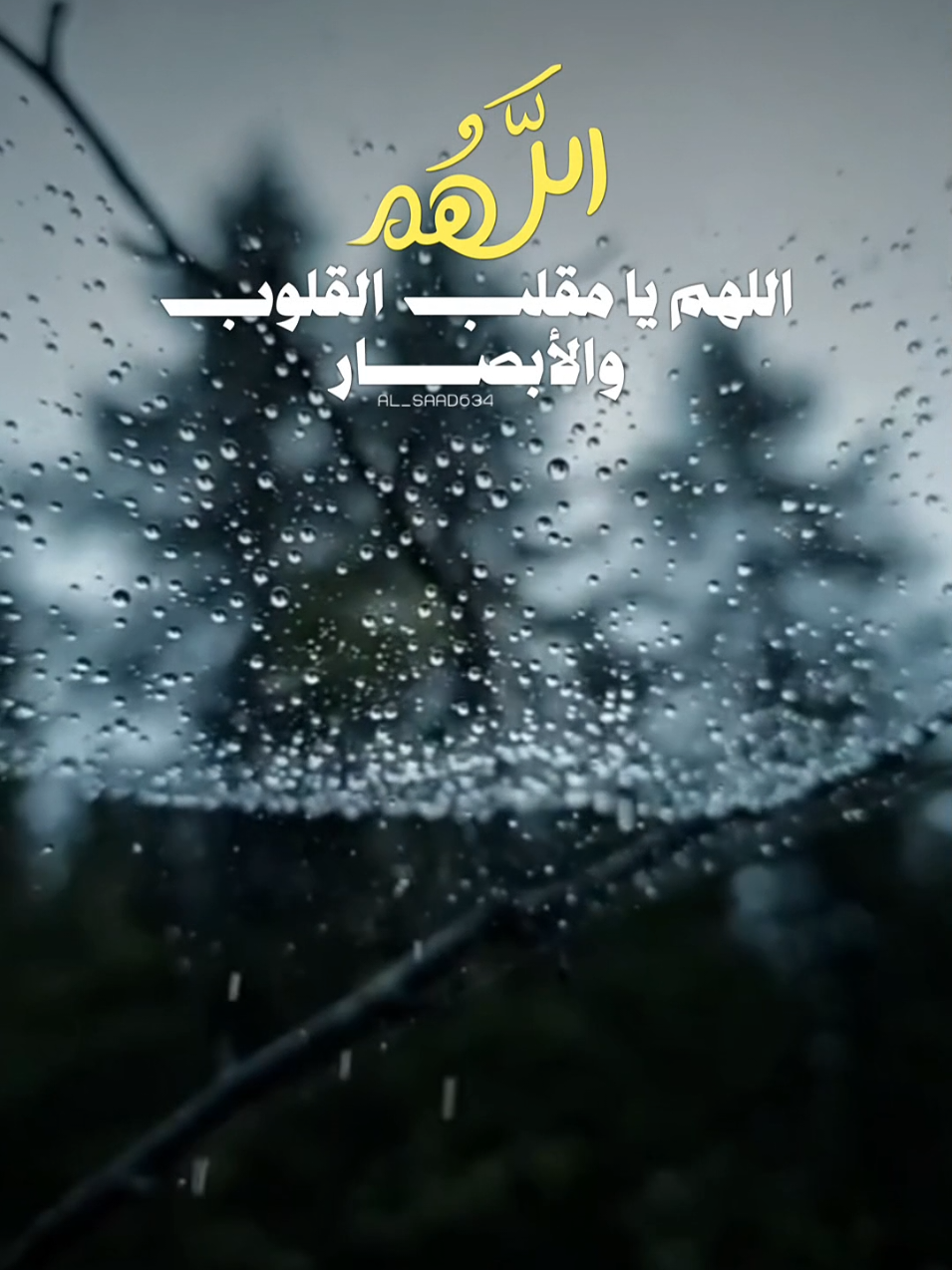 اللّهم يا جابِر المَساكين اجبُر إخوانَنا في غزَّة  🤲🤲🕊️🕊️🇵🇸🇵🇸 #الجزائريين #الجزائر_تونس_المغرب #زوالي_والحمدولله #jijel_____algér⚡❤ #foryouu 
