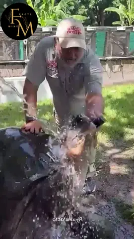 #foryoupage❤️❤️ #viralvideos #unfreezemyaccount 