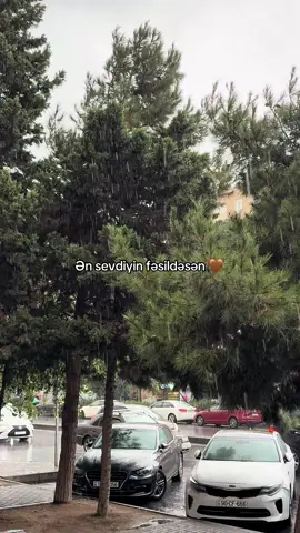Payız🤎