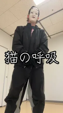 最近は編集した動画ばっかだったから久しぶりにこういうやつ🐈 #おかめ 