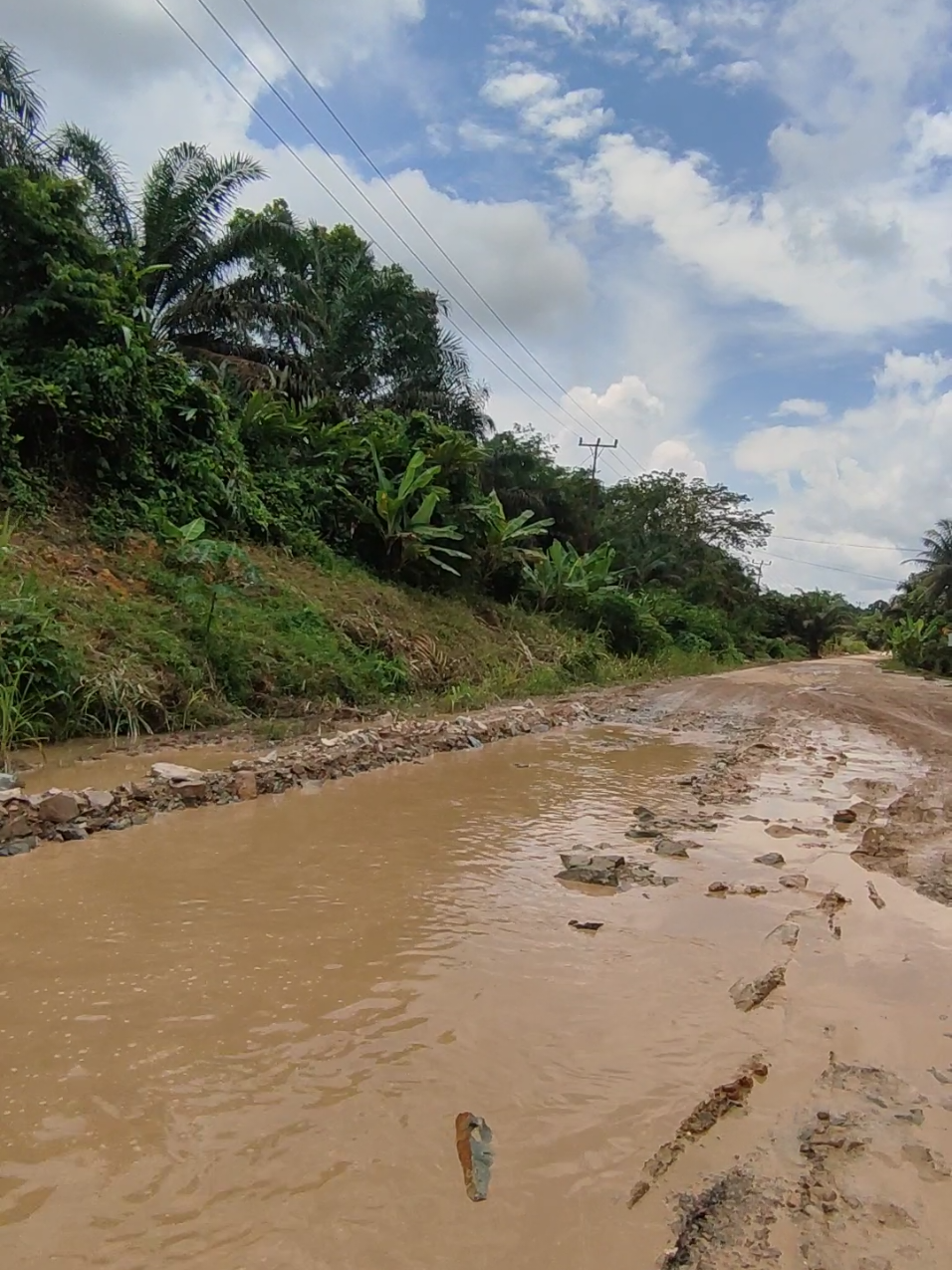 Kondisi terkini jalan raya di simpang Dangku, jalan sidas - darit #landak #jalanjalan #fyp 