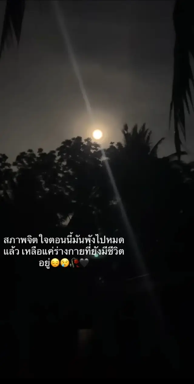 #สตอรี่ความรู้สึก #เธรดเศร้าシ 