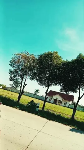 nuansa cerah untuk tetap semangat #matahari#vibes#kehidupan#harapan#fypage