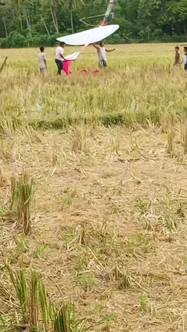 hampir selevel semua 🙄🫣🤕#budayaaceh #acehviral #fypシ゚viral #fyppppppppppppppppppppppp 