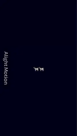 សង្ហាខ្លាំង😭❣️#jake #enhypen #cambodia🇰🇭 