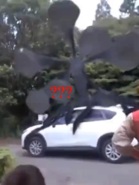 Can you get the dog, please??? #fyp#fyppppppppppppppppppppppp#horror#jhorror#japanesemovies#japanesehorror#noroi#kojishiraishi#jackstauber#foundfootagehorror#viral#parati#ホラー#สยองขวัญ#공포#ужас 