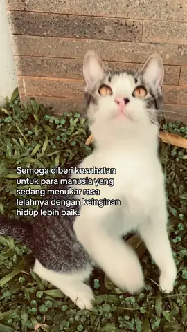 🥀 #xyzabc #foryou #fyp 