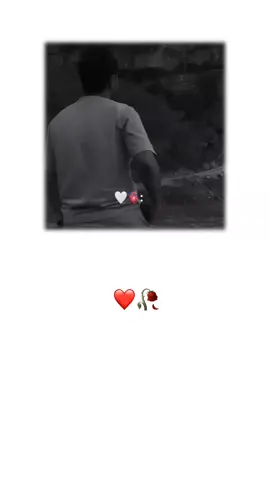 حالا یار جان گل من ♥️🫶🏻🥹                              