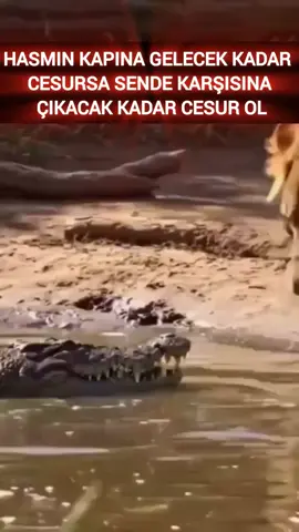 cesaret işi... 