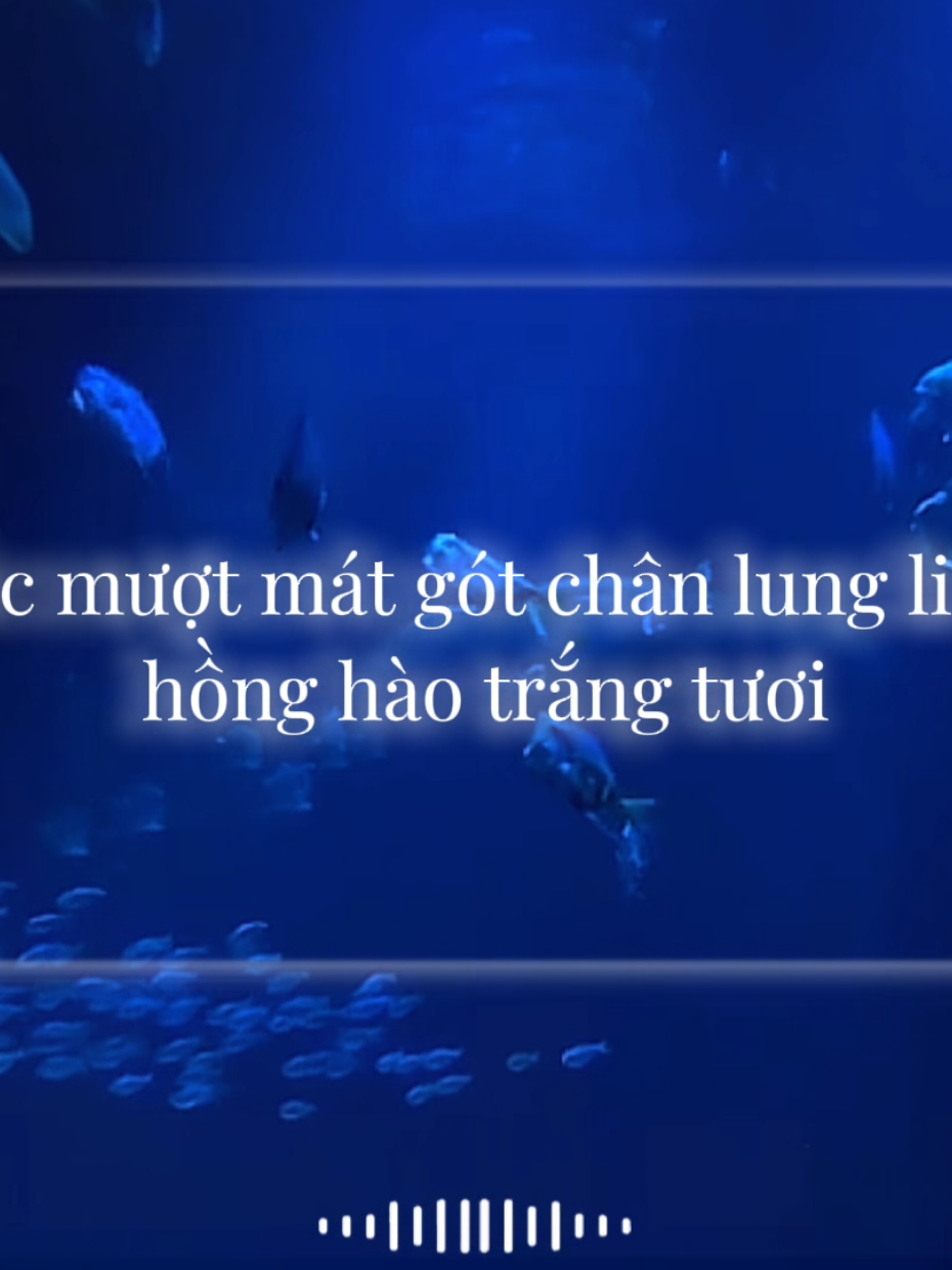 90 60 90 :))#xh #vairal #fyp #096090 #quangvu326 