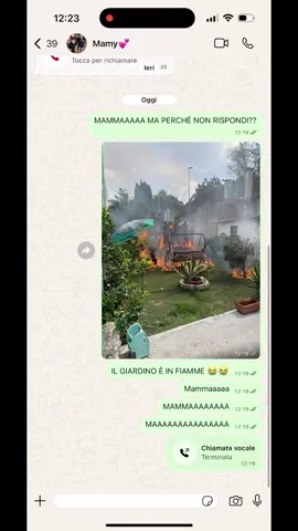 Giardino in fiamme 🔥come far venire un infarto a mia madre 😂😂😂😂 #scherzo #prank #AI #gemini #chatgpt 