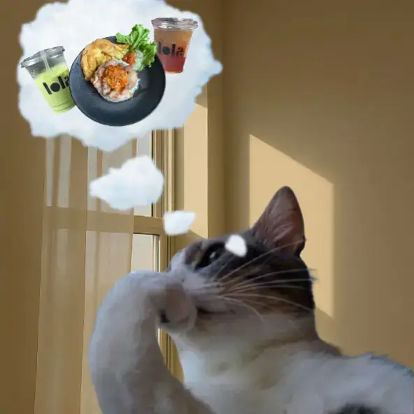 hmm.... #fyp #cats #kucing #cat 