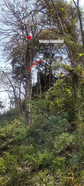 Batu Gantung di Kota Angin Masyarakat menyebutnya dengan nama Watu Gandul yang berarti batu yang digantung. Penamaan tersebut berdasarkan posisi Watu Gandul yang teramat unik. Batu besar ini terletak di ujung lereng dan miring condong ke bawah. Jika dikaitkan dengan hukum alam, seharusnya batu tersebut sudah jatuh menggelinding ke bawah. Namun, Watu Gandul seolah-olah memiliki tali tak kasat mata yang menahannya agar tidak jatuh. Oleh karena itu, masyarakat setempat percaya bahwa Watu Gandul memang memiliki tali tak kasat mata berupa rantai gaib. Selain itu, terdapat jin perempuan yang menjaga Watu Gandul agar tidak terjatuh. Masyarakat juga menganggap batu raksana ini sebagai penentu nasib Kecamatan Ngluyu. #watugandul #ngluyu #nganjuk 