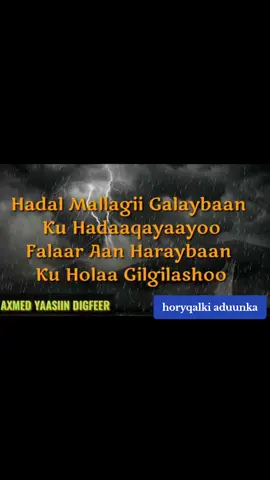 ##🎵🎶🎧 AXMED AYASIN#🎵  DIFER HEESTI FALAR AAN#duet  HARAYN BAAN KUFURAA GILGILASHO#🎵🎶🎧 #ciyaalxamar🇸🇴🇸🇴🇸🇴hawaarto 