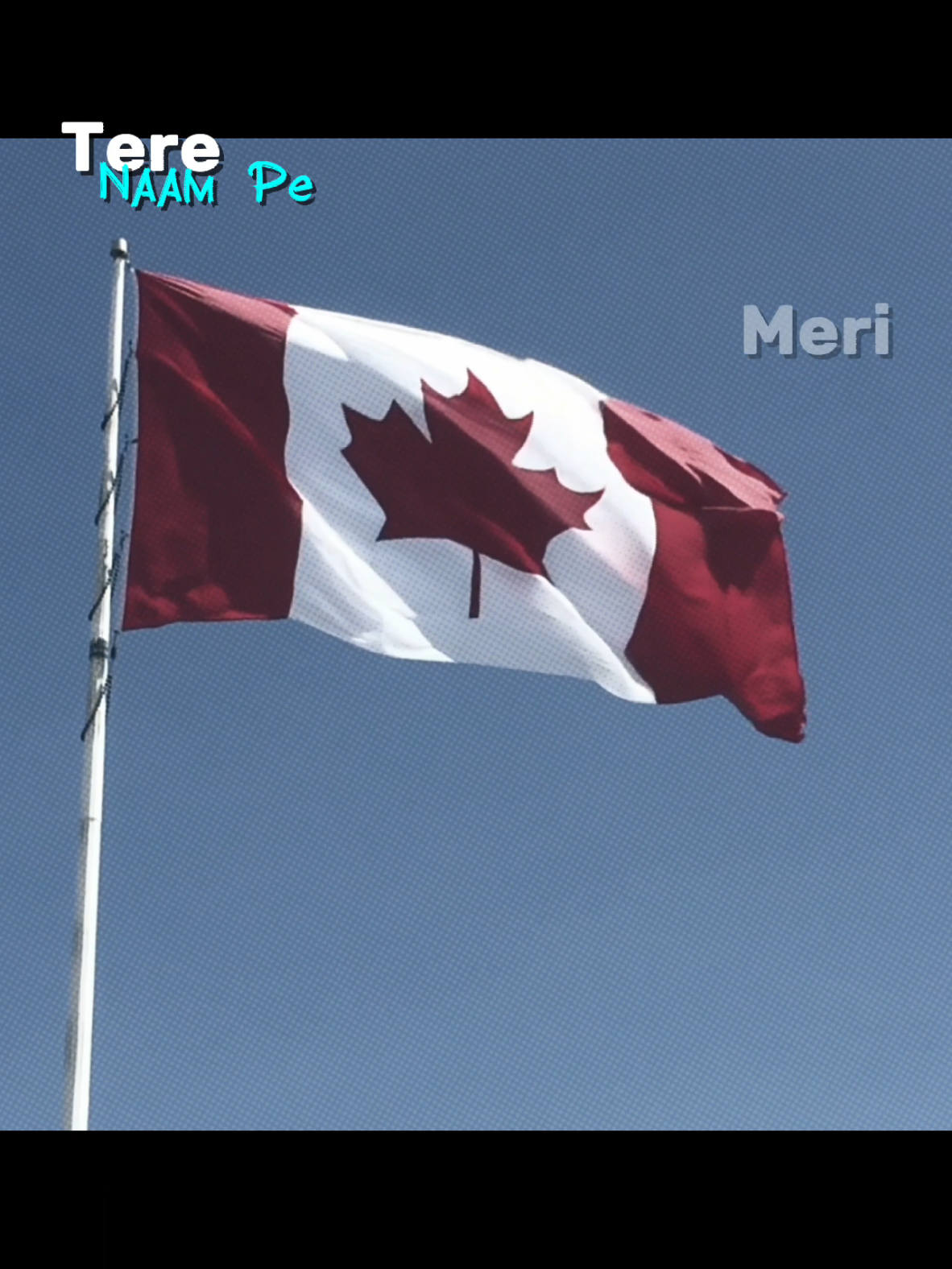 Canada is the dream country of many people 🇨🇦  Very beautiful country and 2nd largest country in the world  #canada🇨🇦  #sylhety🎀 