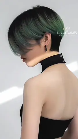 Tém pixie #Loilucas #hoccattoc #cattocnu #tocdeplocnam #cattoclocnam  