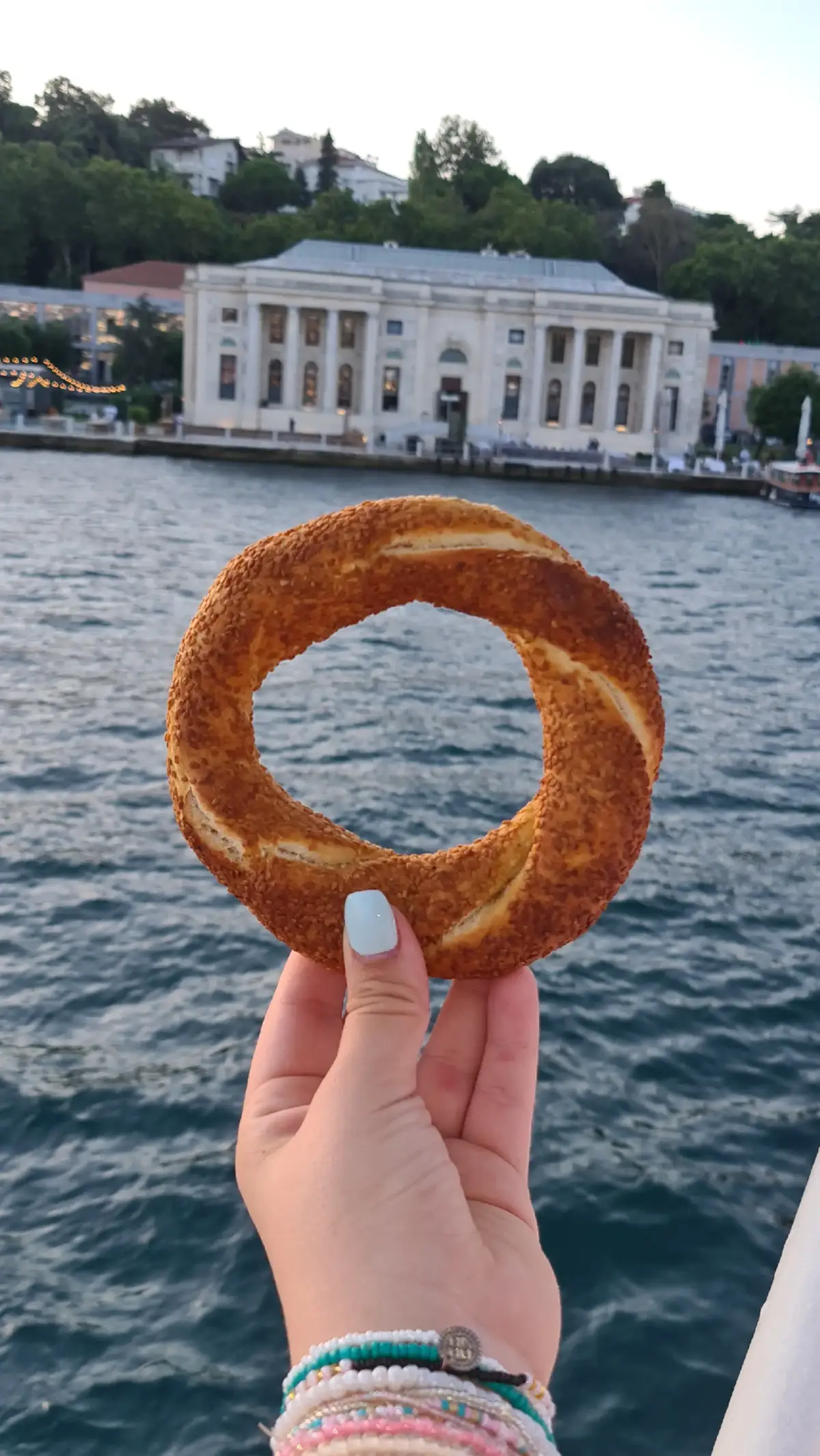 #traveltiktok #travel #istanbultravel #hafizmustafa1864🇹🇷🇹🇷🇹🇷🇹🇷🇹🇷🇹🇷 #sultanahmet #veniziamall #bosphorus #istanbul #turkish #foryouu #foryoupage❤️❤️ #fyp #tiktokviral #france 