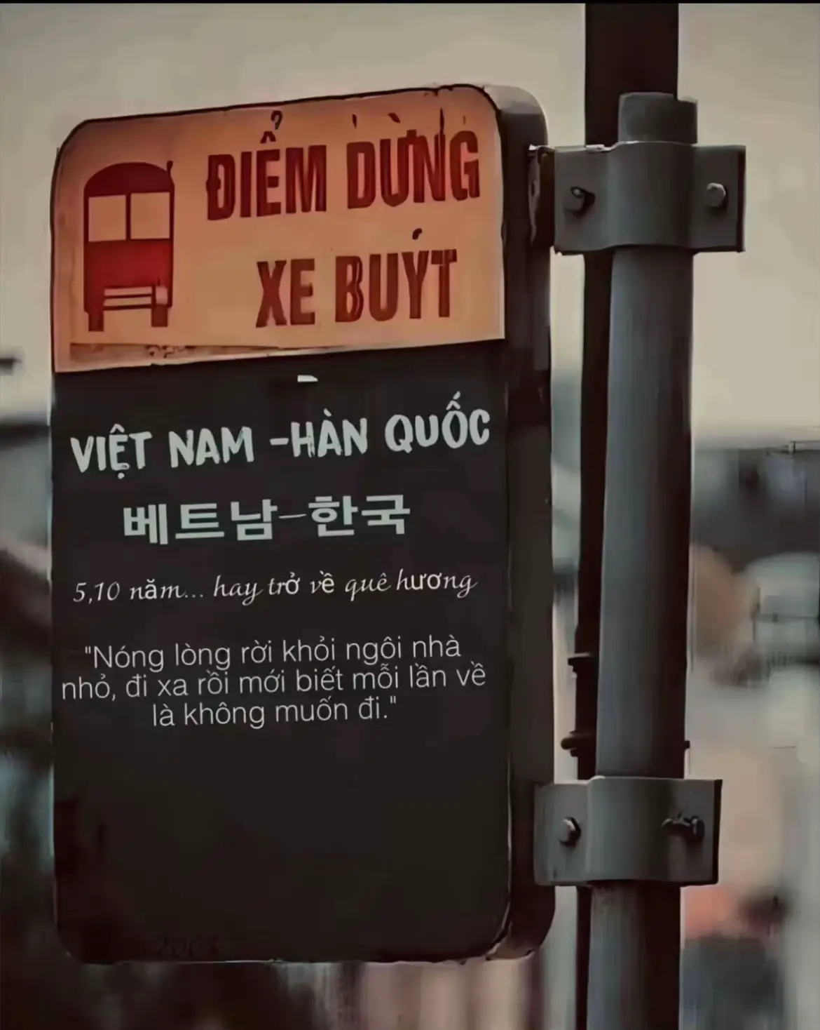 #유학생🇰🇷🇻🇳 #fyp  