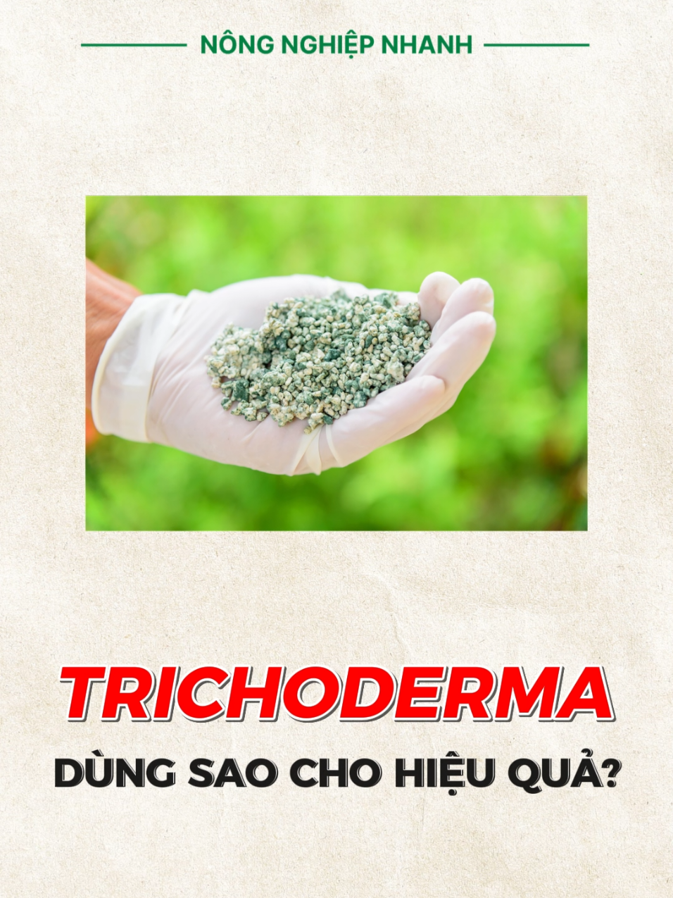 Dùng Trichodermanl thế nào cho hiệu quả?#lamnong #caytrong #phanbon #nongnghiep 