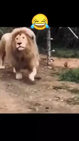 #funny #for😍you♥️ #newtrend #unfrezzmyaccount #1millionviews 