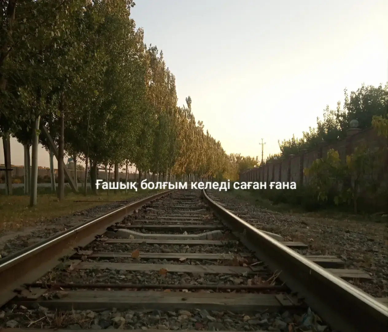 #тек саған ғана 