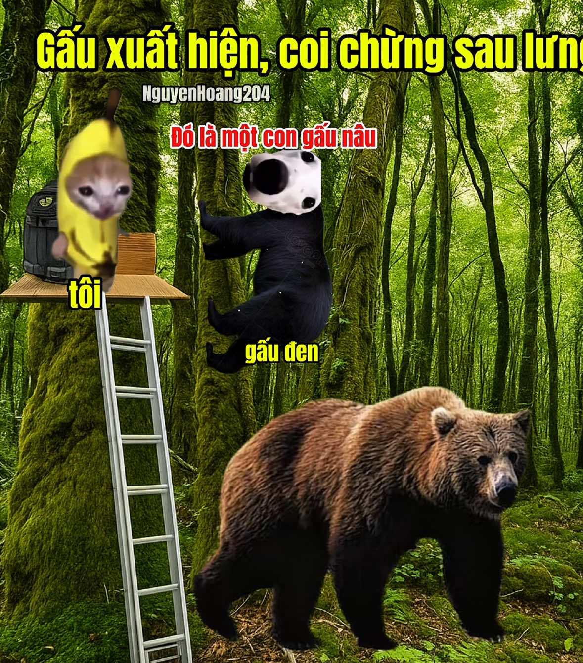 Mọi nỗi sợ hãi đều sinh ra từ việc thiếu hỏa lực. #meme #catmeme 