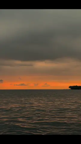 Pesan-pesan kalian hari ini >>