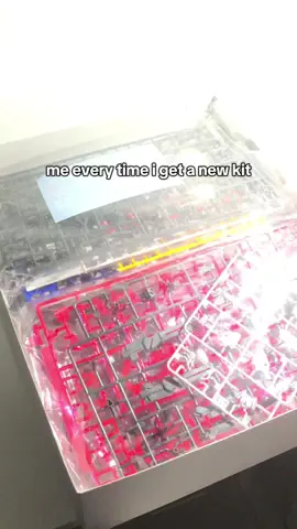 That's me🙏#gundamtiktok #gundamcommunity#gundam 