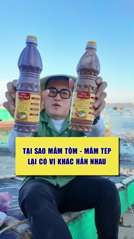 Mắm tôm và mắm tép khác nhau? #diemphofoods #mamtom #mamtomdiempho #tiktokfood #vanlocthanhhoa 