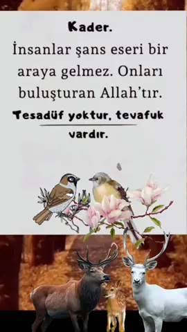 #fyppppppppppppppppppppppp #fypage #keşfet #tiktokindia #keş @DERİN EYLÜL 