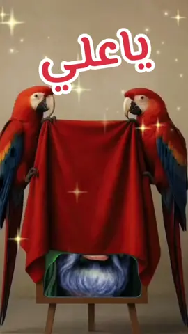 #CapCut 