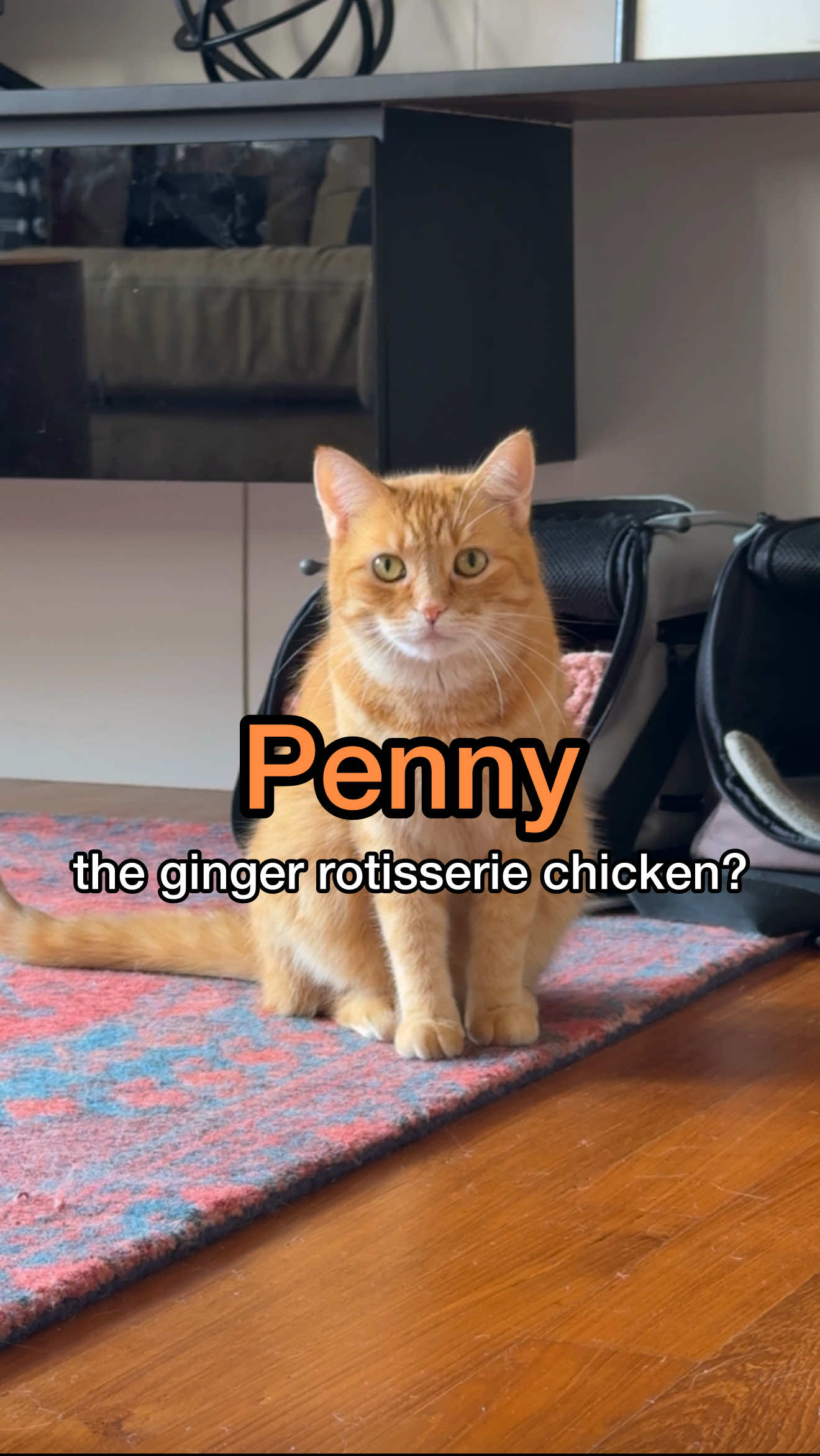 rotisserie chicken or ginger cat? 