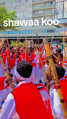 #oromotiktok shawaa#oromotiktok #oromotiktok #oromotiktok 
