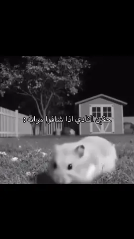 #اكسبلور #explore #viral #fyp 