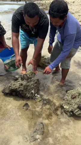 Dami sana bato #idolytang #mukbangvideo #Outdoors #seafood #viral 
