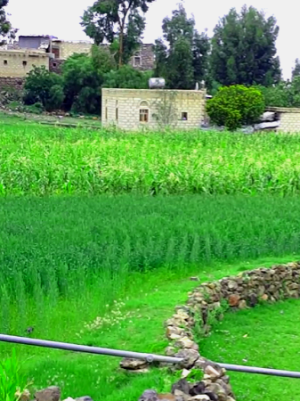 اهدي لكم قلبي احمد مهيوب اغاني يمنية مناظر طبيعية اليمن#اليمن #اكسبلور