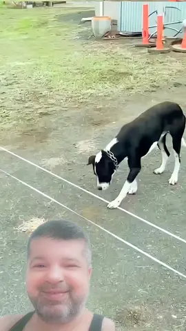 funny videos  😂😂😂😅😅😅#osnatiktok #takosna #osnabrück 