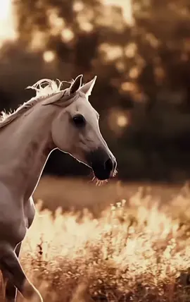 لا إله إلا الله العظيم الحليم لا اله الا الله رب السموات ورب الأرض ورب العرش الكريم نستغفرك ربنا ونتوب اليك فاغفر لنا وارحمنا انك انت الغفور الرحيم اللهم ارزقنا الجنة برحمتك ياارحم الراحمين ولاحولا ولاقوة الا بالله العلي العظيم حسبنا الله ونعم الوكيل 