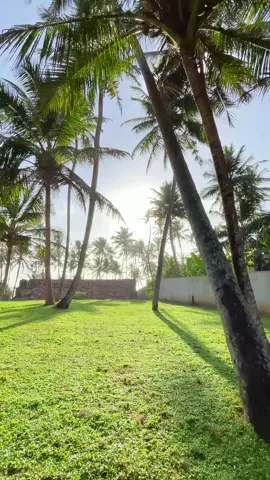 Contact us 077 286 1145 | 077 967 3558  #thilinagardens #landscapingsrilanka #plantingdesign #viralreelsシ #landscapedesign