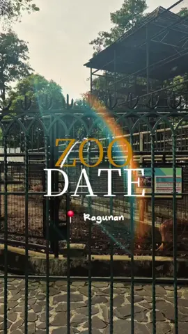Zoo date at Ragunan✨️🐒 Ternyata gampang banget ke Ragunan pake KRL + Transjakarta! We love transum💖 Beli tiket Ragunan di App Ragunan juga gampang bangett! #fyp 