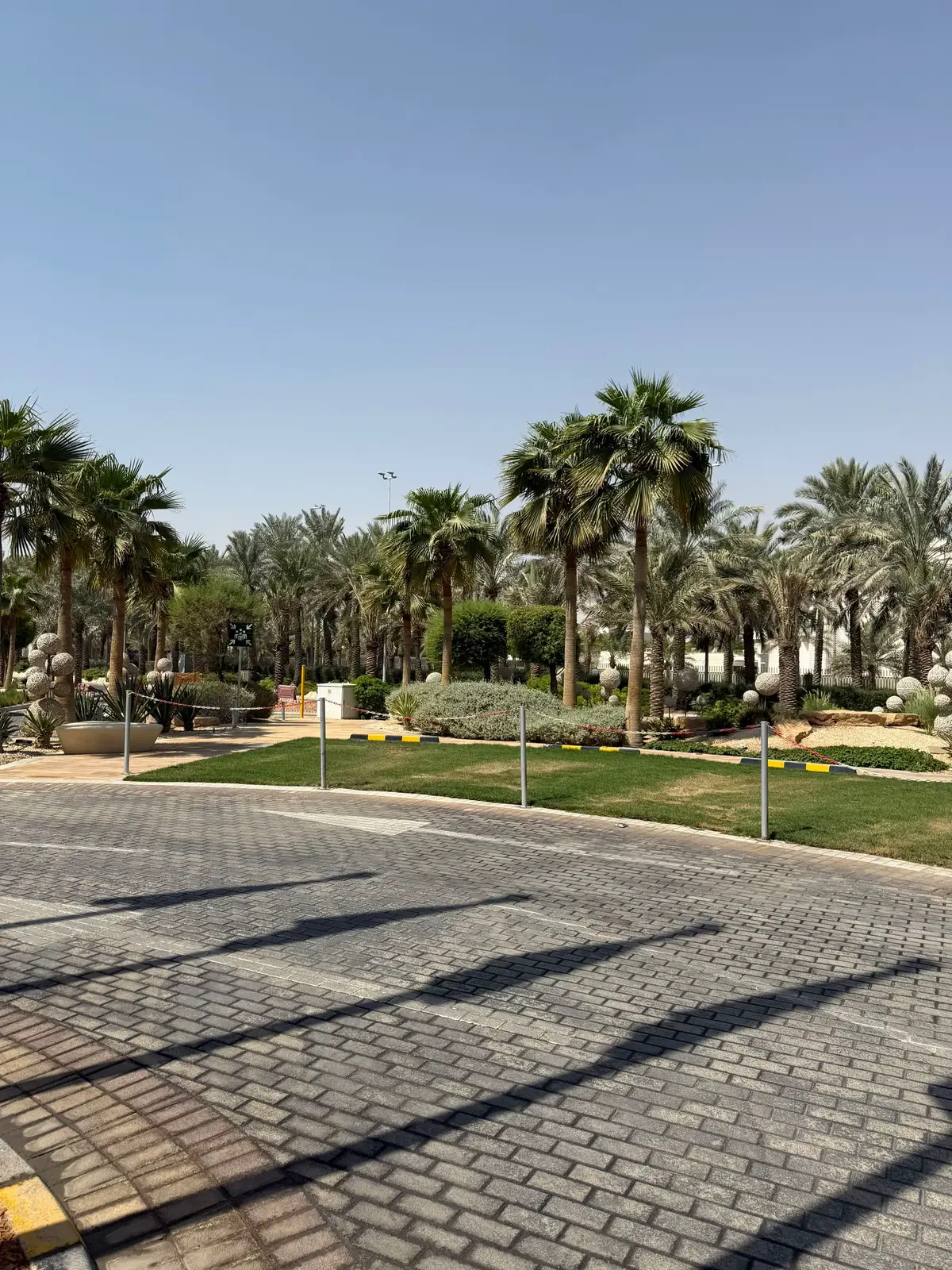 #تصويري_السعوديه_الرياض_مكه_جده_الطايف_الباحه_ابها 