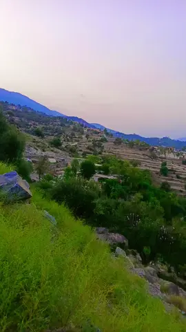 #foryoupageofficiall #tiktokviral #🏞️🌲😍 da kaly mazegar 🏞️