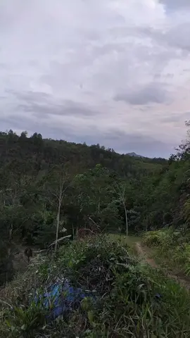 tempat menyenang kan hati #ti̇ktok #ganepo 99