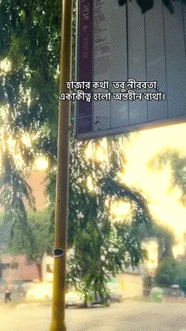 হাজার কথা, তবু নীরবতা, একাকীত্ব হলো অন্তহীন ব্যথা।❤️‍🩹#foryoupage❤️❤️ #bdtiktokofficial #bdtiktokofficial🇧🇩 @TikTok 