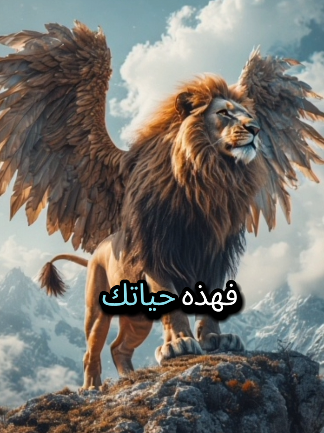أحكام الدنيا  #كلام_من_القلب #كلام_من_ذهب #مقولات_وحكم_ونصائح #حكم #اقتباسات @🛩inconnu 🛩 