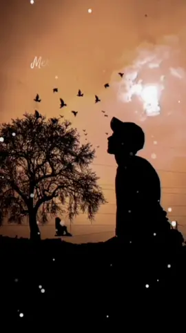 #shayari #urdupoetry #urdushayari #urduline 