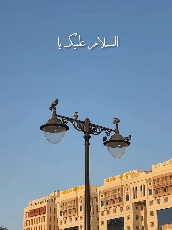 Assalamu Alayka ‎Ya Rasool Allah 🌷@ᴅᴀʀᴋ ᴠɪʙᴇs🫀🖤 #noor_ul_qalb10 #islamic_video #maherzain #assalamualaikayarasulullah #islamicstatus 